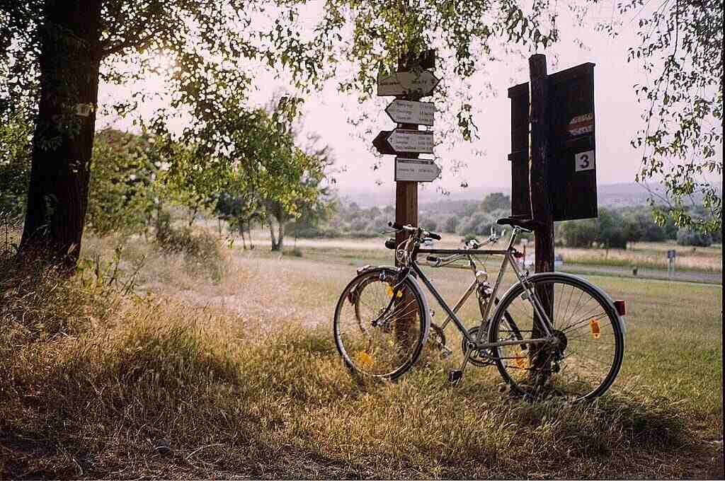 when-youve-had-a-bicycle-accident