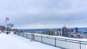 suing for slip-and-fall