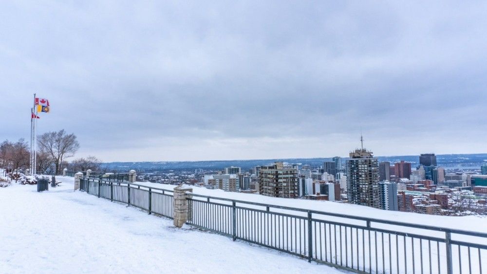 suing for slip-and-fall